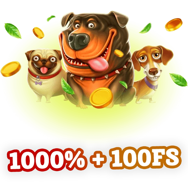 Coins Game Bonus